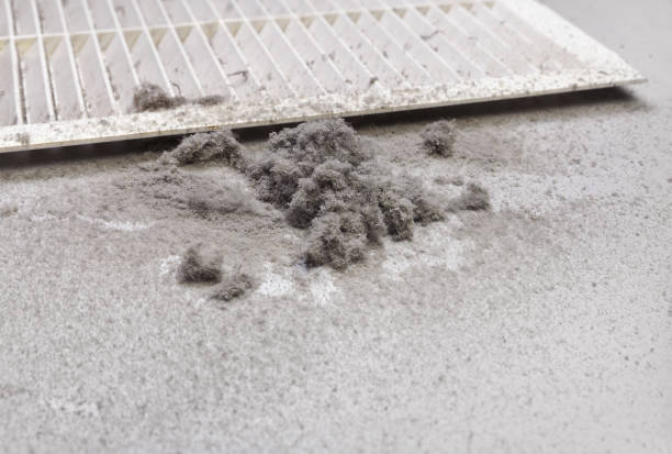 Best HVAC System Cleaning  in Kula, HI