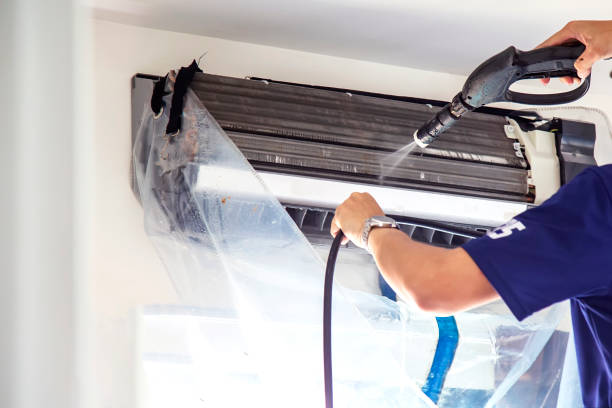 Best Affordable Duct Cleaning Services  in Kula, HI