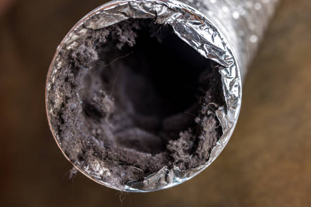 Best Affordable Air Duct Cleaning  in Kula, HI
