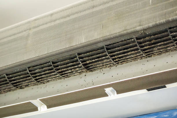 Ventilation Cleaning Services in Kula, HI